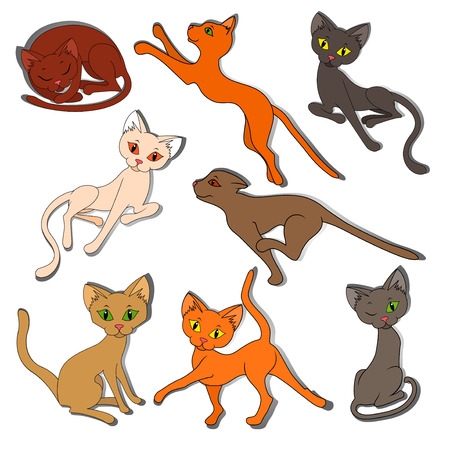 Set of eight colorful funny cats isolated on a white background, hand drawing cartoon vector illustrationのイラスト素材
