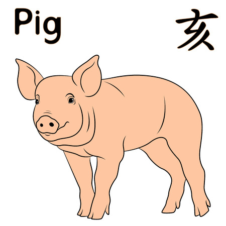 Chinese Zodiac Sign Pig, symbol of New Year on the Eastern calendar, hand drawn vector isolated on the white backgroundのイラスト素材