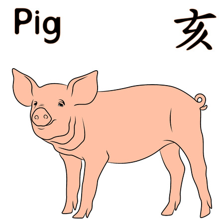 Sign Pig of Chinese Zodiac, symbol of New Year on the Eastern calendar, hand drawn vector isolated on the white backgroundのイラスト素材