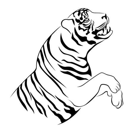 Aggressive concealed large tiger on the hunting, hand drawing vector outline isolated on a white backgroundのイラスト素材