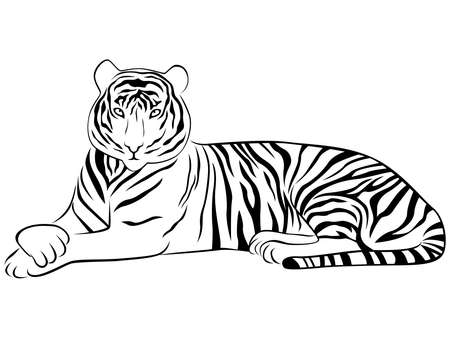 Contour of tiger lying in graceful pose, isolated black vector on white background like a tattooのイラスト素材