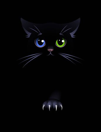 Black Cat On The Black Background Black Cat With Eyes Of Different Colors Vector Illustration のイラスト素材 ストックフォト 写真素材のstock Foto ストックドットフォト