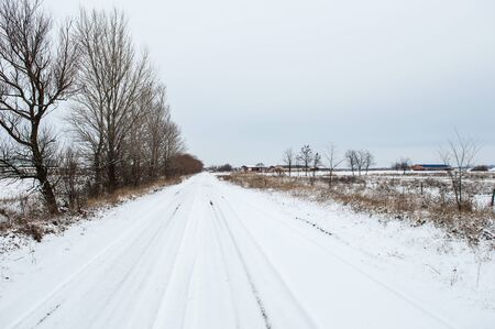 Snowed Road to the Farm with ruts bordered by trees
Winter a cold day
Winter landscape. Trees in hoarfrost. Country road. Cold season.
の写真素材