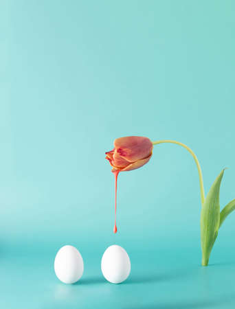 White Easter eggs and a fresh tulip on a bright cyan background. Creative minimal concept.の写真素材