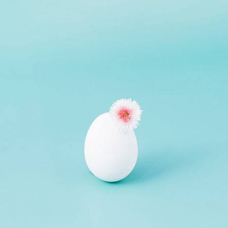 White Easter egg with fresh flower on a pastel cyan background. Minimal concept