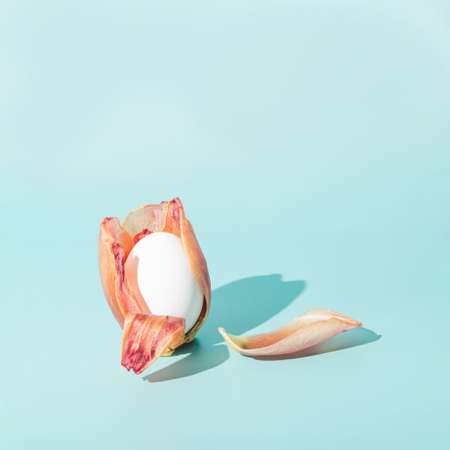 Red-orange falling tulip petals and white Easter egg. Minimal concept. Bright background.の写真素材