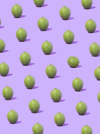 Creative fruit pattern made of green limes against pastel violet background.Minimal concept. Flat lay.の写真素材