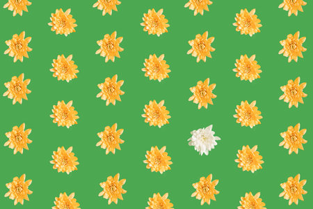 Pattern of spring pastel orange and white  flowers on green background. Minimal flatlay compositionの写真素材