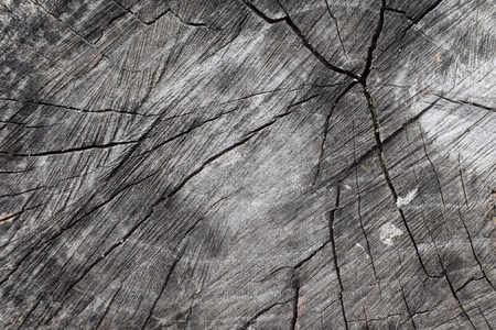 wood textureの写真素材