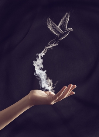 Hand of a woman holding a smoke bird の写真素材