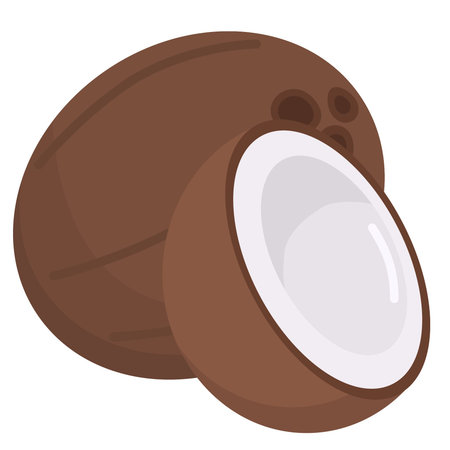 illustration of a whole and half coconut on a white backgroundのイラスト素材