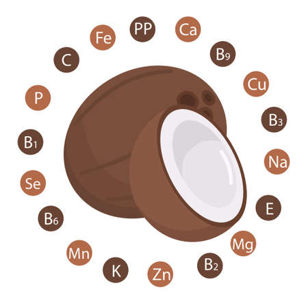 vector illustration of whole and split coconut, showing the vitamins and minerals contained in coconut, the concept of proper and healthy nutrition.のイラスト素材