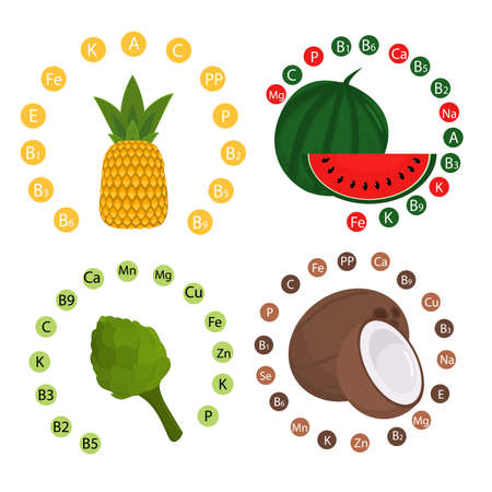 vector illustration of coconut, pineapple, artichoke and watermelon. On the topic of proper and healthy nutrition. Foods rich in vitamin C and B vitamins.のイラスト素材