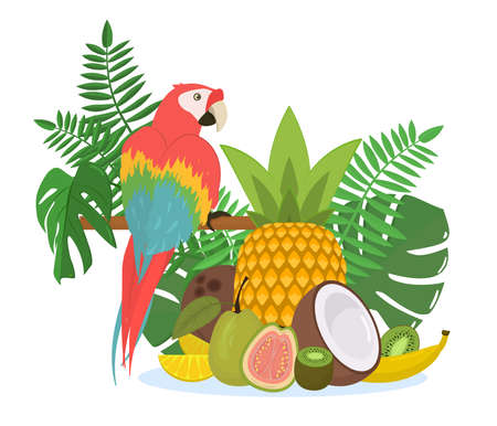 vector illustration on the theme of tropical fruits and birds. A group of exotic fruits on a background of leaves with a red macaw sitting next to it. Isolated on a white backgroundのイラスト素材