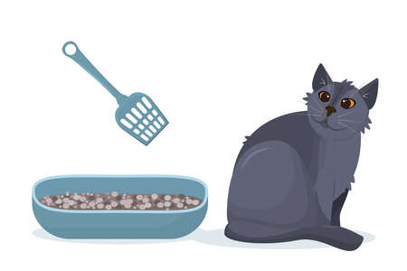 vector illustration of a gray British cat sitting next to a cat toilet, isolated on a white backgroundのイラスト素材