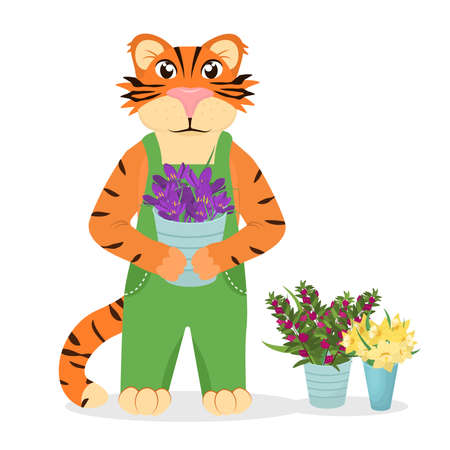 vector illustration of a tiger in a jumpsuit with pots of flowers isolated on a white background.のイラスト素材