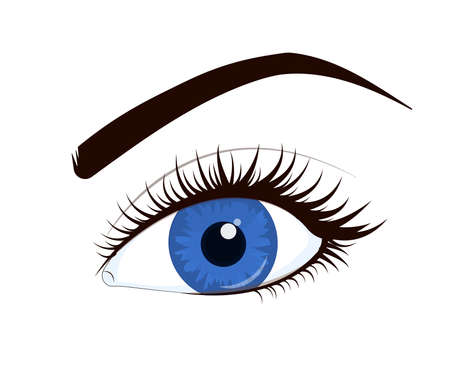 vector illustration of a blue female eye with lush lashes, isolated on a white backgroundのイラスト素材