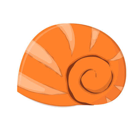 vector illustration of a seashell isolated on a white backgroundのイラスト素材