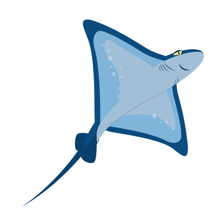 marine vector illustration of a stingray isolated on a white backgroundのイラスト素材