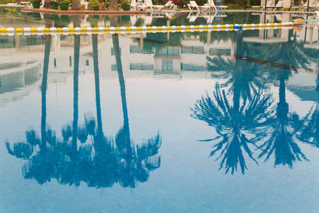 photo of the reflection of palm trees in the poolの写真素材
