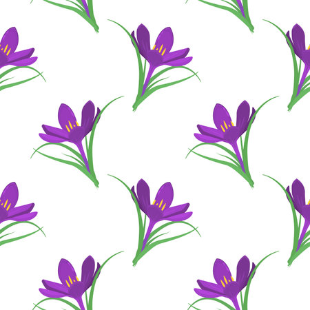 vector pattern with purple crocuses on a white background. Spring flowersのイラスト素材
