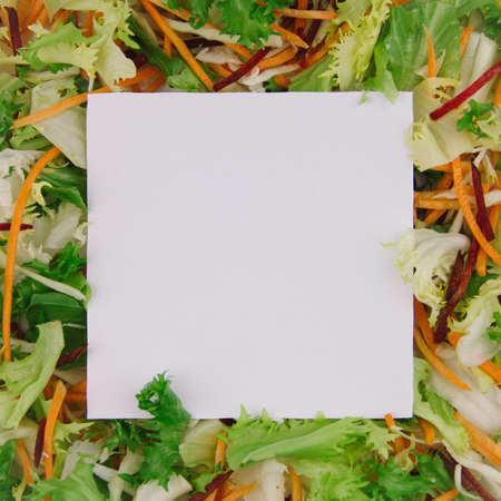 White square shaped paper note with border of fresh diet salad - lettuce, carrot, cabbage mixed salad in the square shape minimalistic healthy lifestyle conceptの写真素材