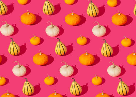 Halloween pattern - colorful pumpkins of different shapes on the pink backgroundの写真素材
