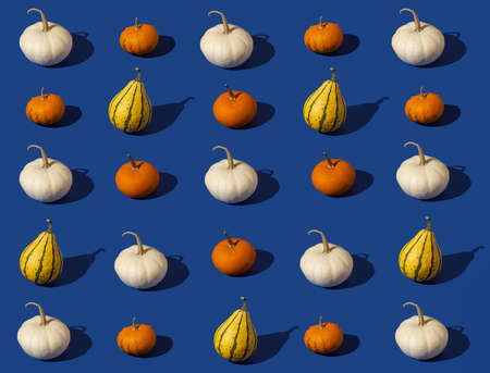 Autumn colorful pumpkins on blue background. Halloween patternの写真素材