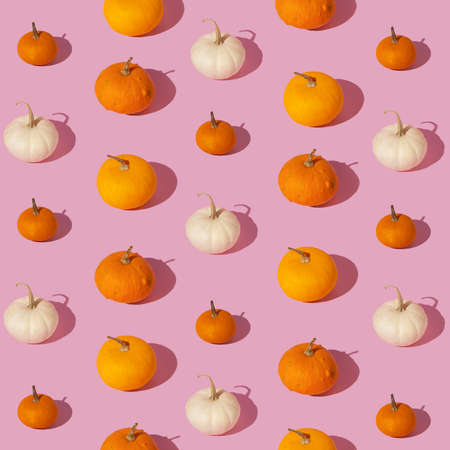 Romantic halloween autumn pumpkin pattern. Colorful Pumpkins on pink background - fall minimal patternの写真素材