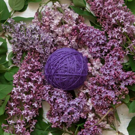 Lilac tangle of yarn among the flowers of lilac. Top view.の写真素材