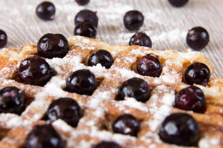 Belgian waffles with black currant sprinkled with powdered sugar. Close-up.の写真素材