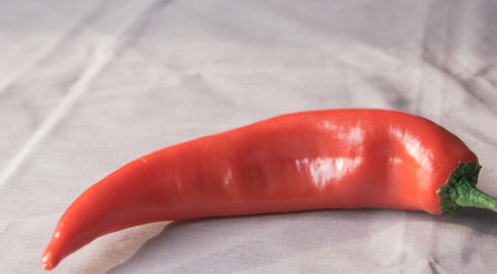 Red hot chilli pepper for cooking food on a gray concrete background. Healthy eating. Close-up.の写真素材