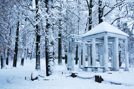 Beautiful winter landscape. Forest and lake in the snow. New Year's landscape.の写真素材