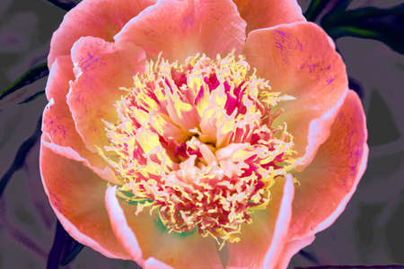 fantasy textile flowers on a blurred backgroundの写真素材