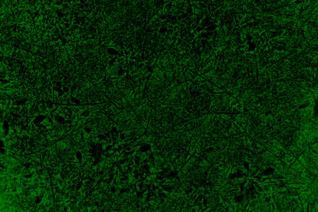 Green beautiful abstract background. Artistic stylized texture banner. Top viewの写真素材