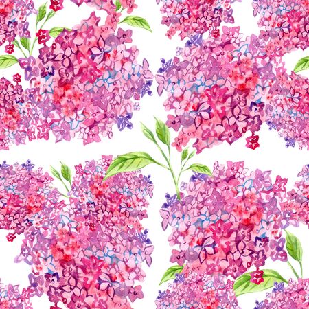 hydrangea flower pattern seamless on a white background watercolorの写真素材