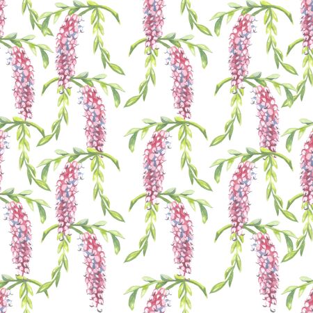 Seamless pattern with beautiful flowers similar to berries on a white background.の写真素材