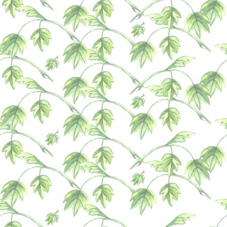 seamless watercolor pattern with green leaves on a white backgroundの写真素材