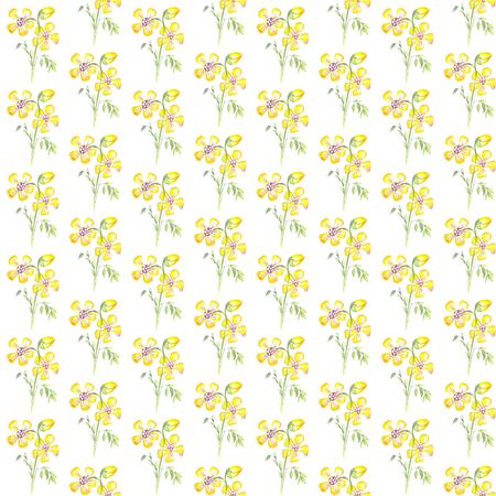 yellow flowers seamless watercolor pattern on white backgroundの写真素材