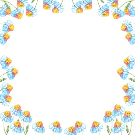 frame on a white background camomile flowers watercolorの写真素材