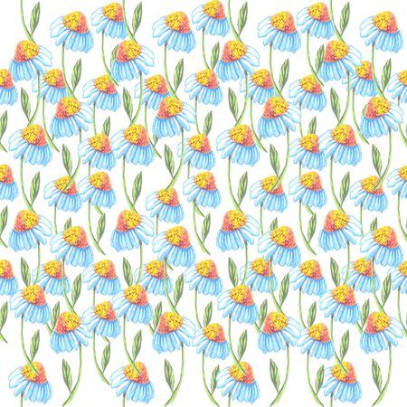 watercolor chamomile flowers seamless pattern on a white backgroundの写真素材