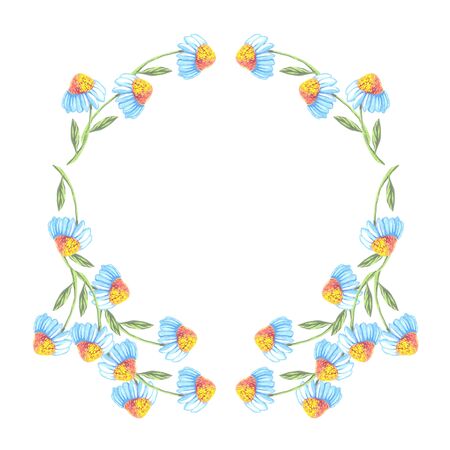 frame on a white background camomile flowers watercolorの写真素材