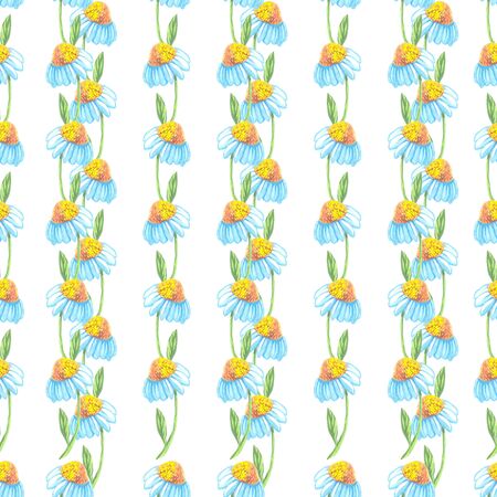 daisy flowers seamless watercolor stripes pattern on white backgroundの写真素材