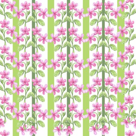 wallpaper watercolor striped green petals flower pink on a white background seamless patternの写真素材