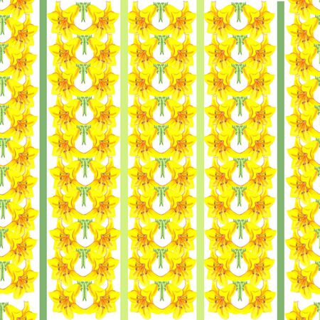 watercolor on white background yellow lily seamless pattern stripes  wallpaperの写真素材