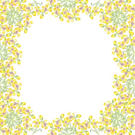 decoration yellow flower watercolor on a white background frame contour green leavesの写真素材