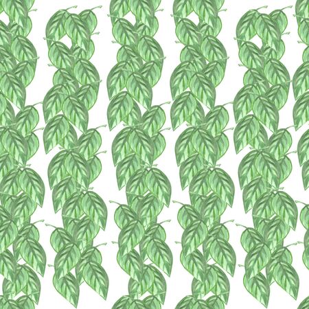 seamless watercolor pattern with green leaves on a white backgroundの写真素材