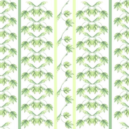 leaves pattern branch green watercolor on a white background liana seamless pattern striped wallpaperの写真素材