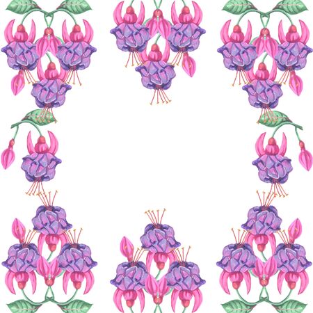 illustration decoration fuchsia bright flower watercolor on a white background frame inflorescence plantの写真素材