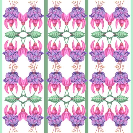watercolor on white background wallpaper striped seamless pattern illustration fuchsia flower bright plantの写真素材